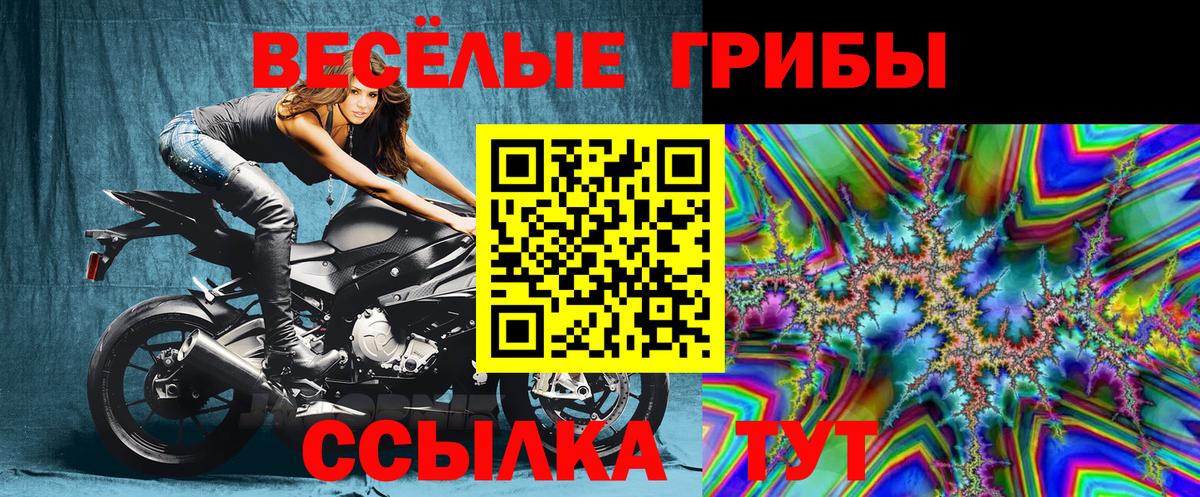 Ярославль  Галлюциногенные грибы GOLDEN TEACHER  Вход с VPN 